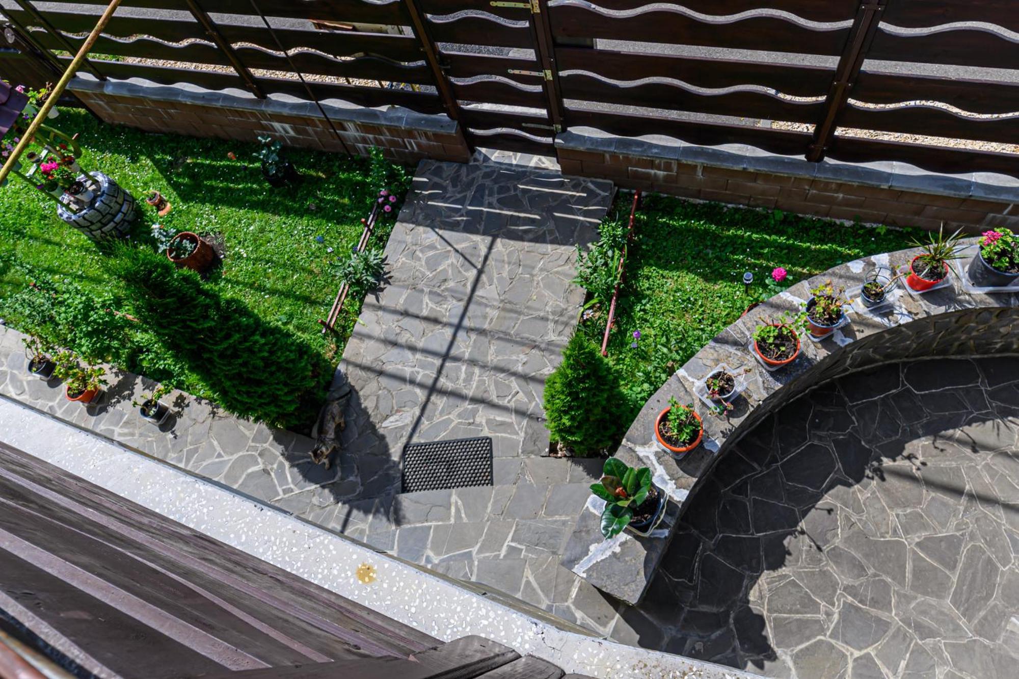 Hotel Casa Ramino Buşteni Exterior foto